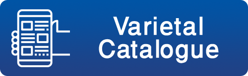 VC